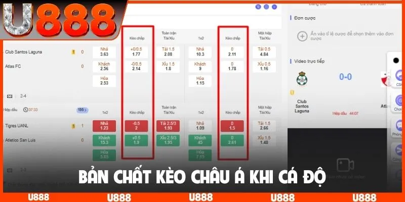 Bản chất kèo châu Á khi cá độ