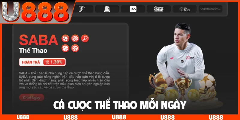 Cá cược thể thao mỗi ngày
