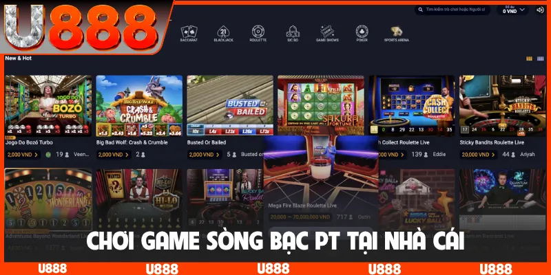 Chơi game sòng bạc PT tại nhà cái