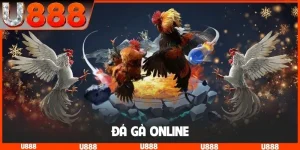 Đá gà online