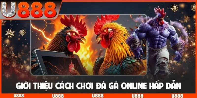 Giới thiệu cách chơi đá gà online hấp dẫn