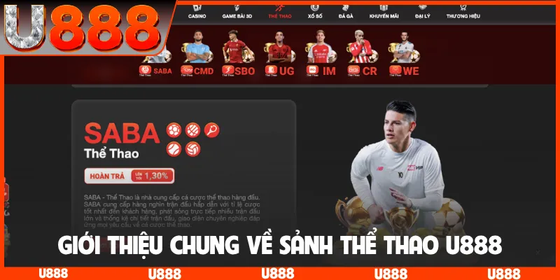 Giới thiệu chung về sảnh thể thao U888