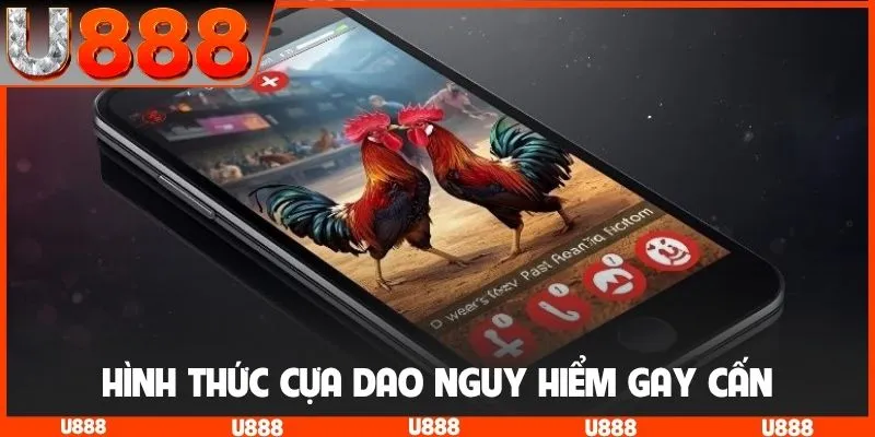 Hình thức cựa dao nguy hiểm gay cấn