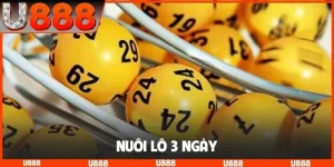 Nuôi lô 3 ngày
