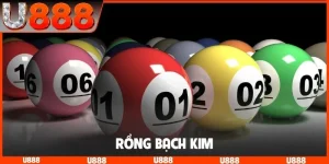 Rồng Bạch Kim