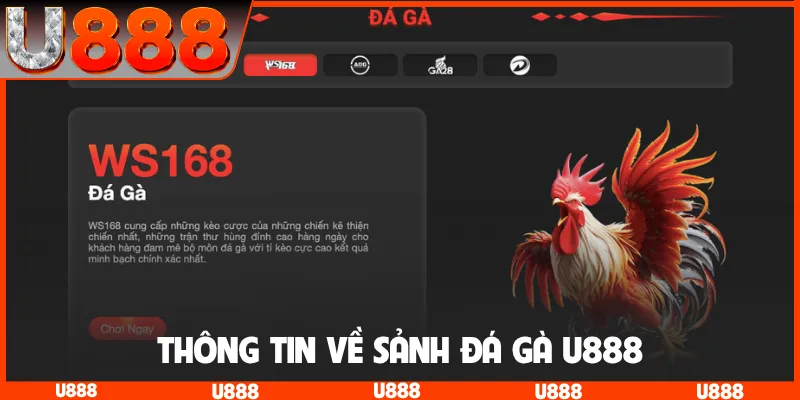 Thông tin về sảnh đá gà U888